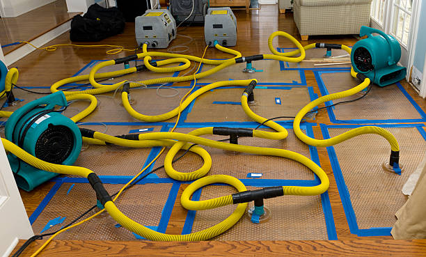 Professional Basement Flood Cleanup technician working in Contoocook, NH